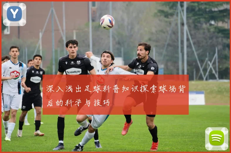 深入浅出足球科普知识探索球场背后的科学与技巧