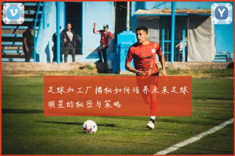 足球加工厂揭秘如何培养未来足球明星的秘密与策略