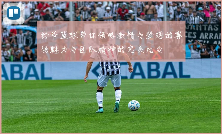 铃爷篮球带你领略激情与梦想的赛场魅力与团队精神的完美结合